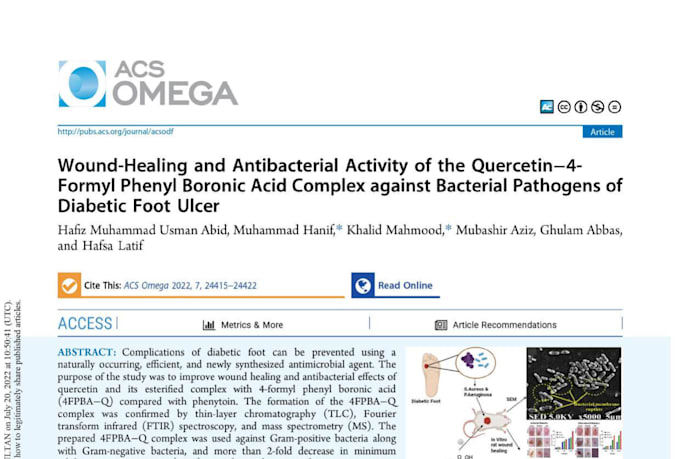 provide professional journal publication support